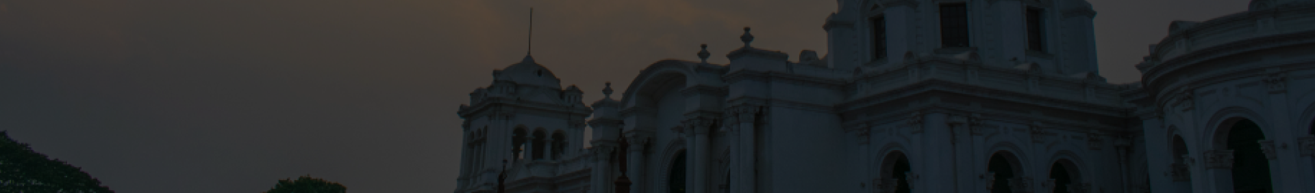 Golden Crear Banner